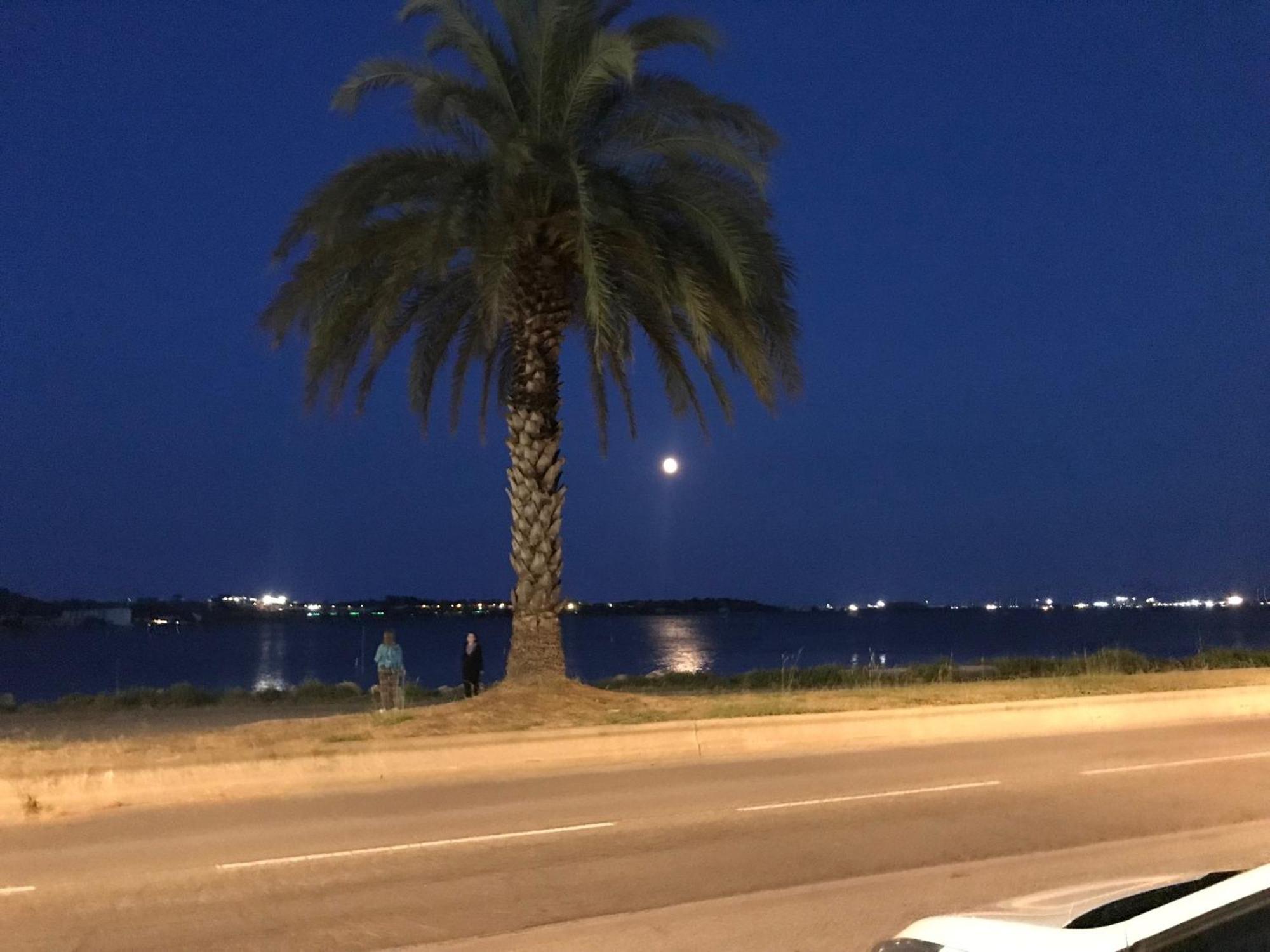 Apartamento La Largatera Frontignan Exterior foto